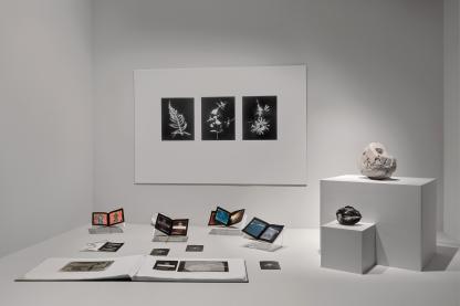 Isabelle Giovacchini, Sans titre, installation, techniques mixtes, dimensions variables, 2025