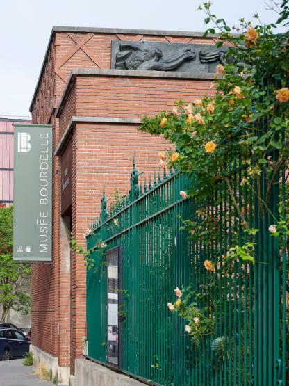 Rosiers à l'assaut de la grille du musée 