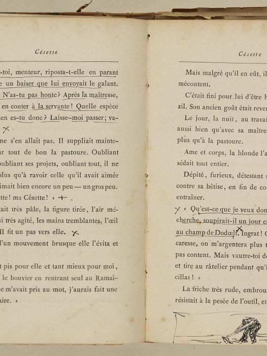Césette. Histoire d'une paysanne