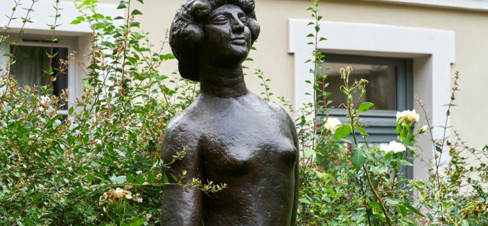 Le Fruitémerge  du massif d'asters et de la haie de spirées