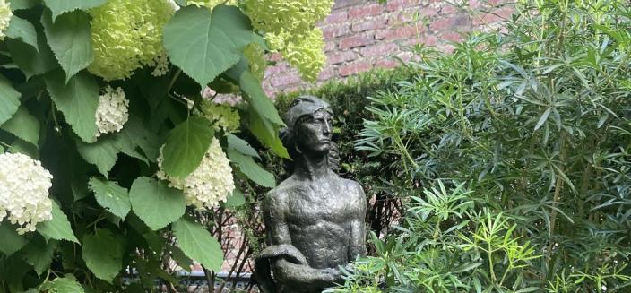 La Force érigée entre les tiges souples des Hydrangea arborescens ‘Annabelle’  et le Choisya 'White Dazzler’, une variété d’Oranger du Mexique